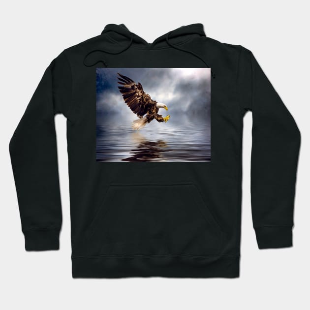 Bald eagle swooping Hoodie by Tarrby